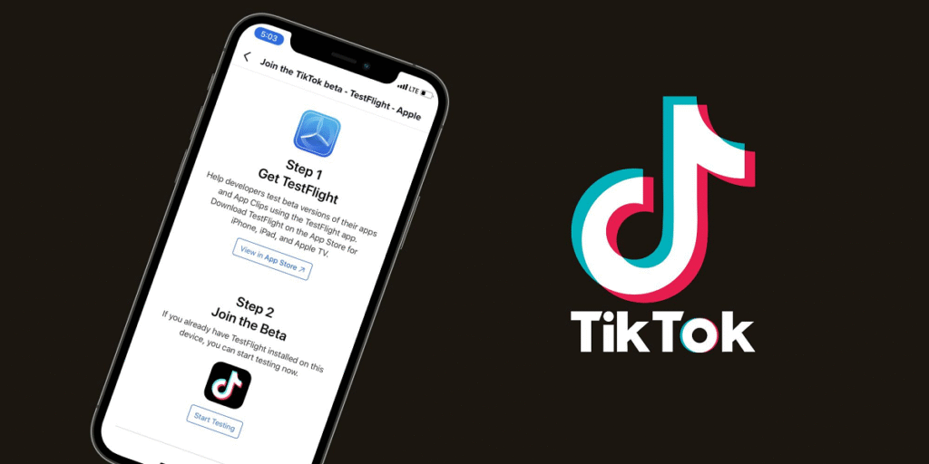 Tiktok Beta Program online earning in Pakistan Without investment