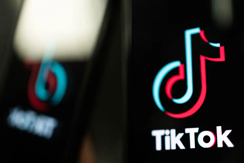 TikTok Watch and Earn Money Option